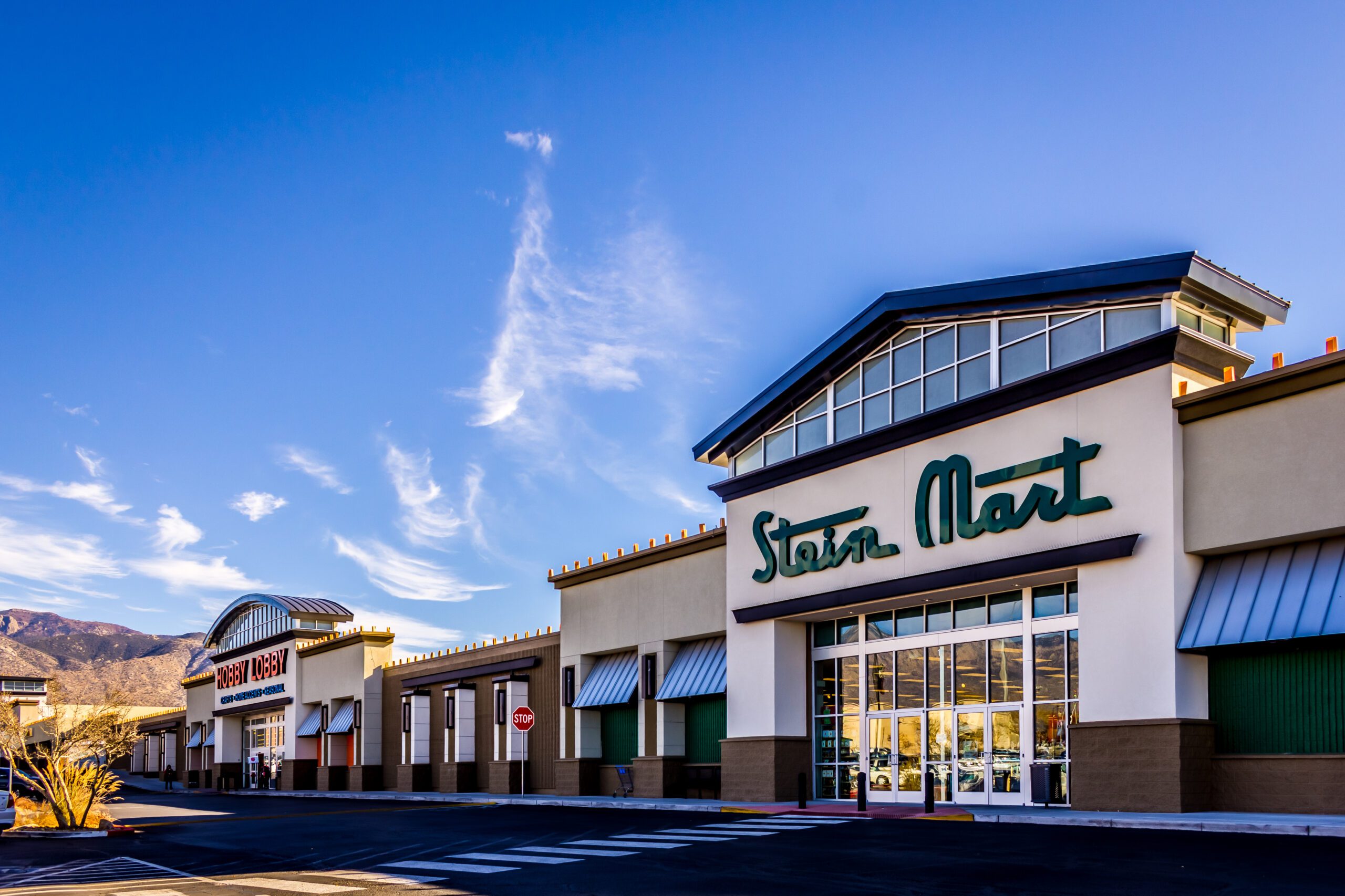 Featured image for “Stein Mart”